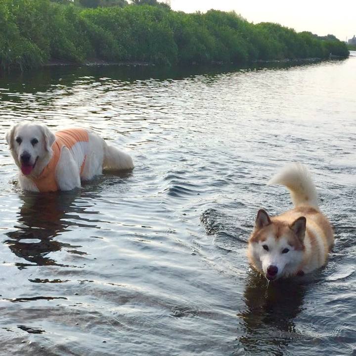 B1b3e4d0 58d7 4908 8c94 2f6909853207