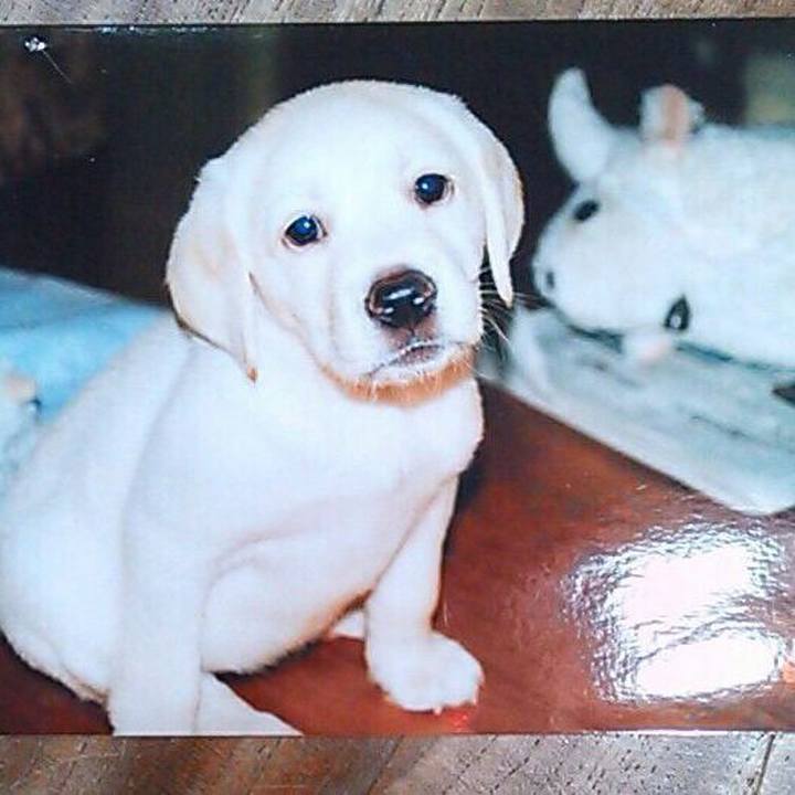 B1b4fc60 20c6 4373 832e 1f4acddf5cba