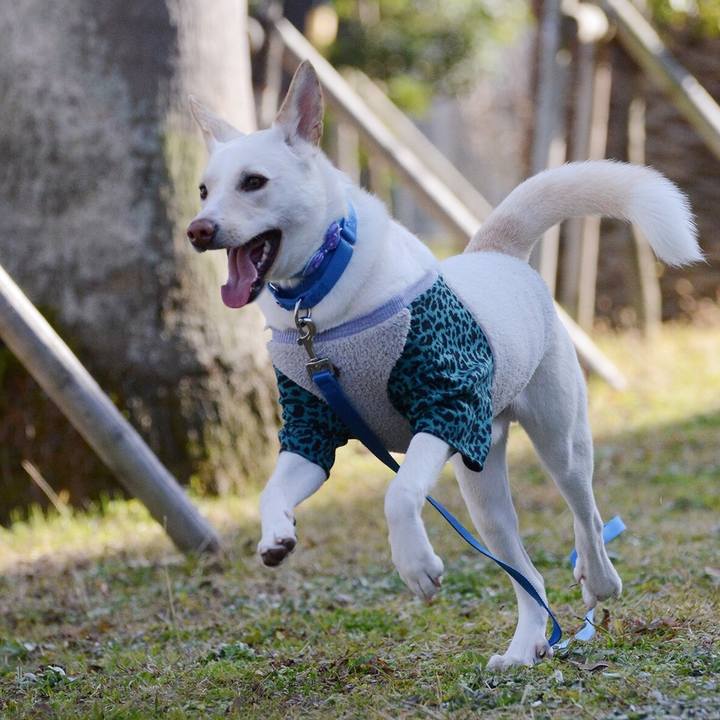 B1b53b97 9f49 4d57 bbcb 583cbd5a6563