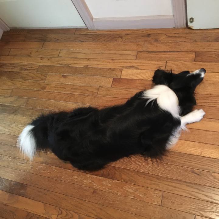 B1b59260 a2be 4fd5 8e8d 3daab8fa1d42