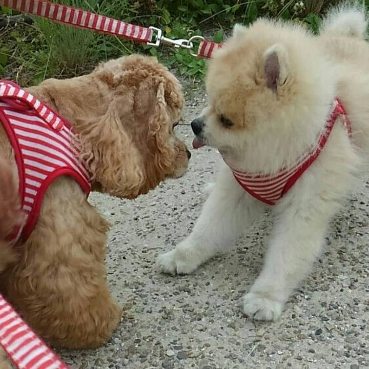 B1b5b046 3ab9 47f3 b2a4 3e25f5096b7d