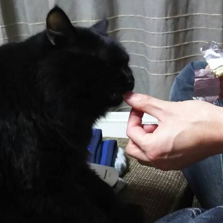 B1b63c2f b8e3 4ac0 9138 08a37f2675b8