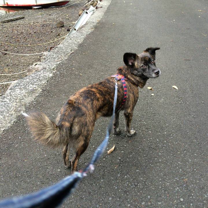 B1b687e6 cbcc 4362 9891 d85aa9c7d2d5