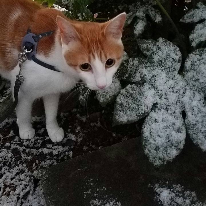 B1b69b91 9cf1 4f7f 99fa 64dc1693066b