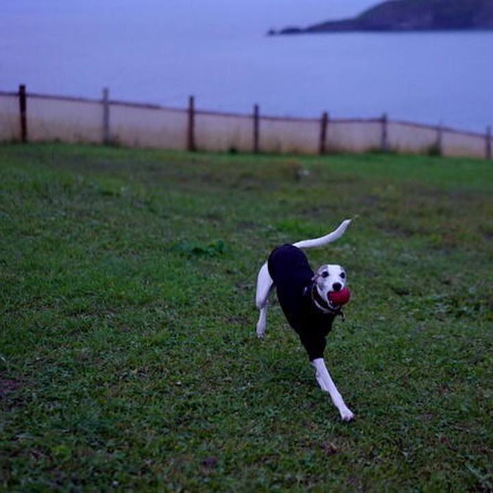 B1b6d9f9 d350 4fb3 bf2a bd524564b29e