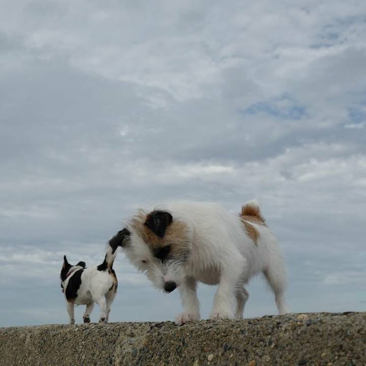 B1b70b4e 88d8 41da b421 ef86389fb9eb