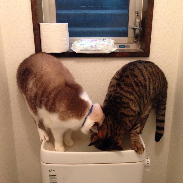 B1b76688 fd5e 4c4e 99a0 c074d29af599