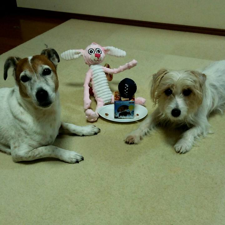 B1b76c97 2662 430b bb2a 8ea9e8edadcd