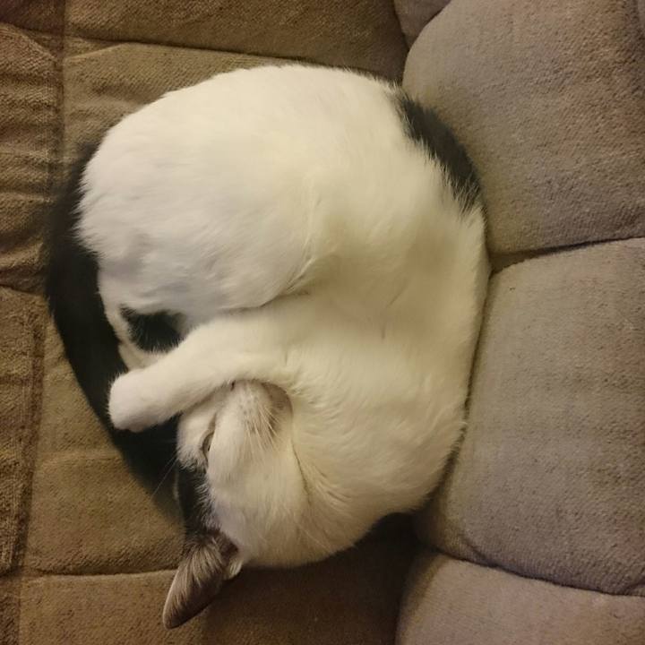 B1b78eda abb4 4a25 9593 5604da08056b