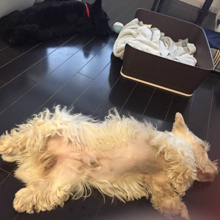 B1b7970a 1e68 44fa b6c3 3d509d2440fc