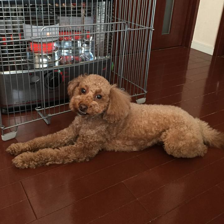 B1b83d96 b9e8 4a36 b7ca 5a52820d0e77