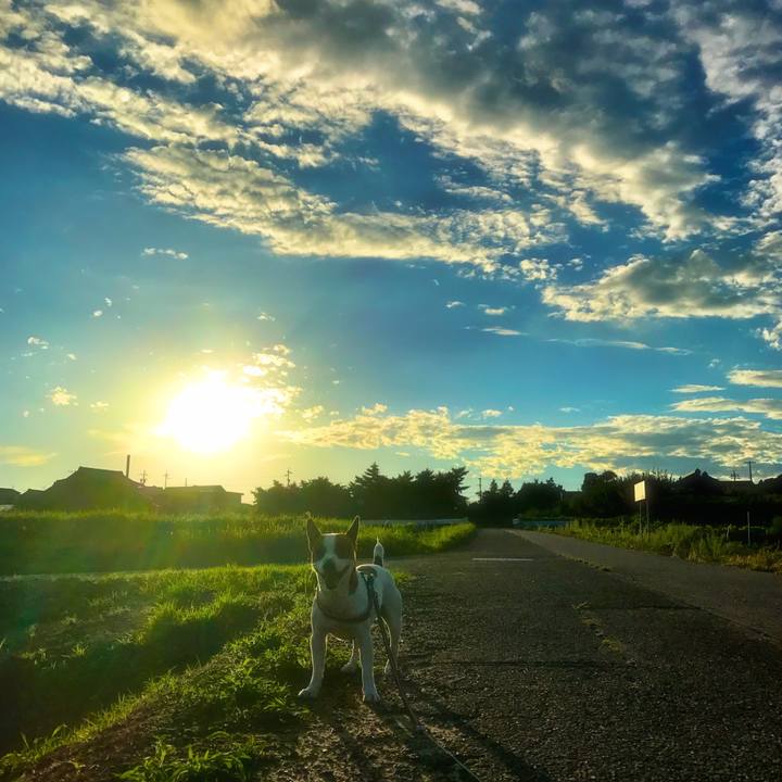 B1b85916 3aab 49ba a726 2d3d9b892573