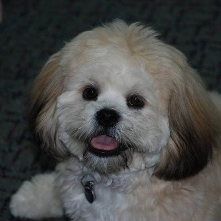 B1b8a3e8 07bb 4363 af99 cbd38400a922