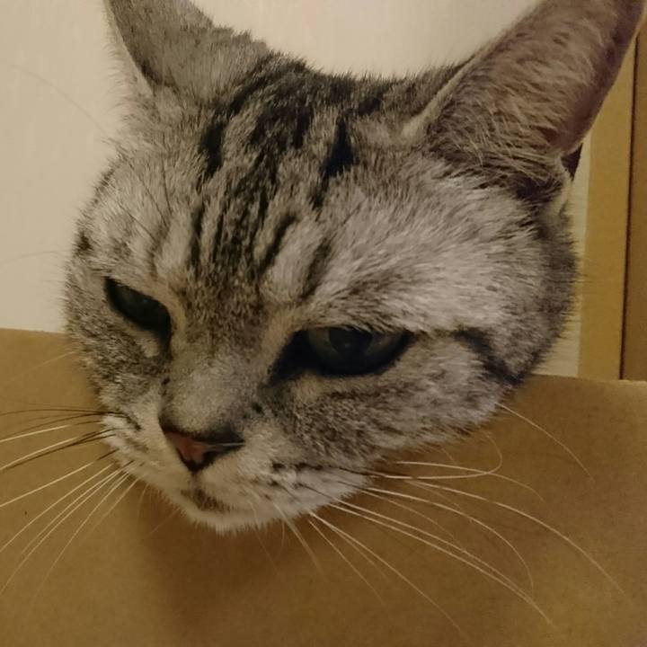 B1b921d2 112a 428f 926c 5394f06456e9