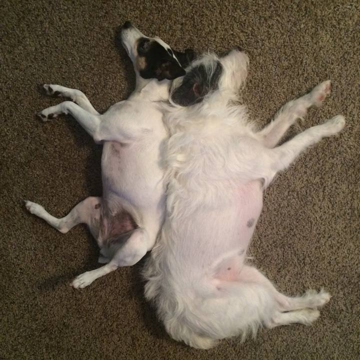 B1b95303 08dd 4ff1 9574 57589d82f138