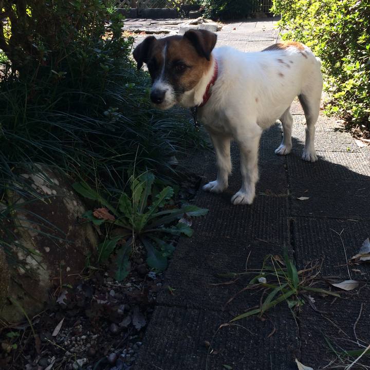 B1ba51d6 16a2 497c 912a 4deb2cf06e02