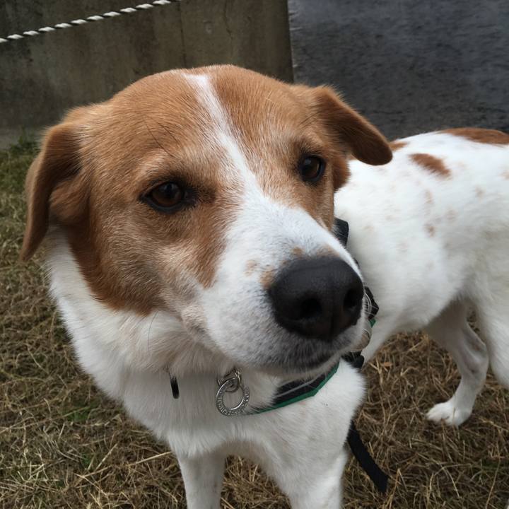 B1ba9780 6c10 4293 ace4 fc83047c618d