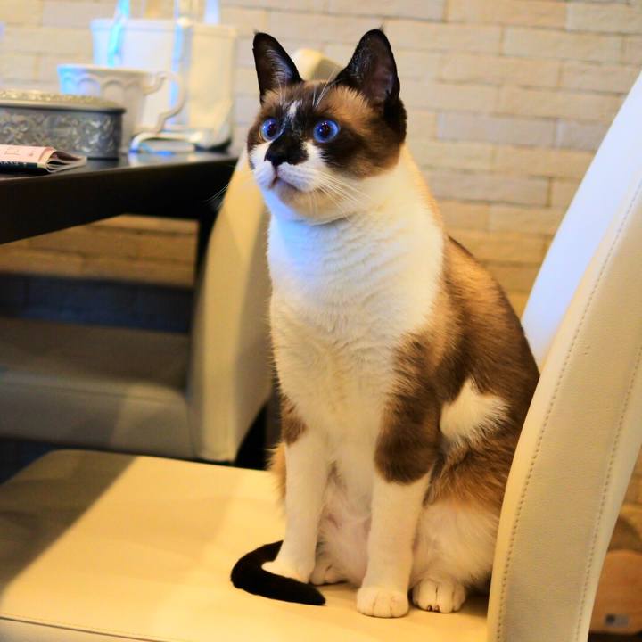 B1bae21f 1c18 44b8 8202 5c1bd646b350