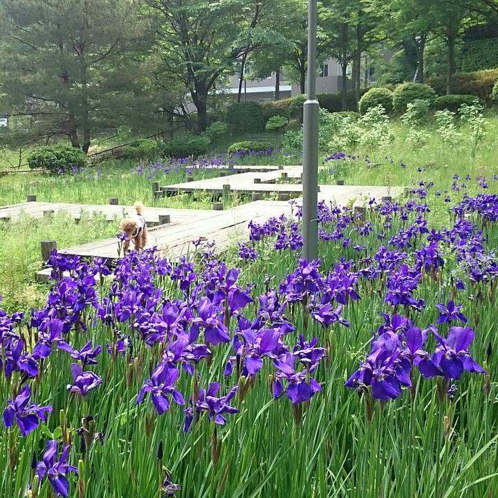 B1bb051e 76c7 46c8 bc4f 4cac8bb6b429