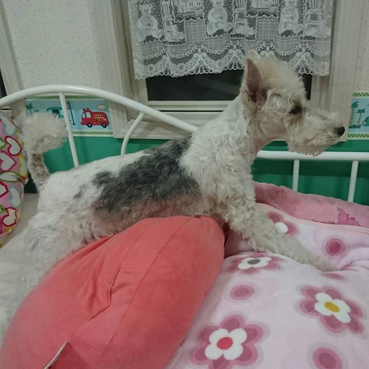 B1bb32f5 cc68 4523 9606 596622dfc3dd