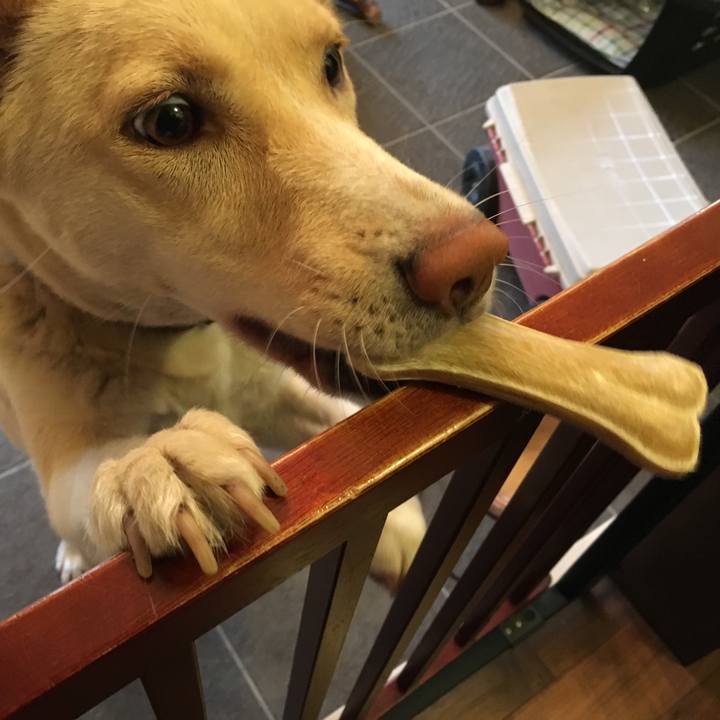 B1bb511a 7003 408b b2a7 d55b49842748