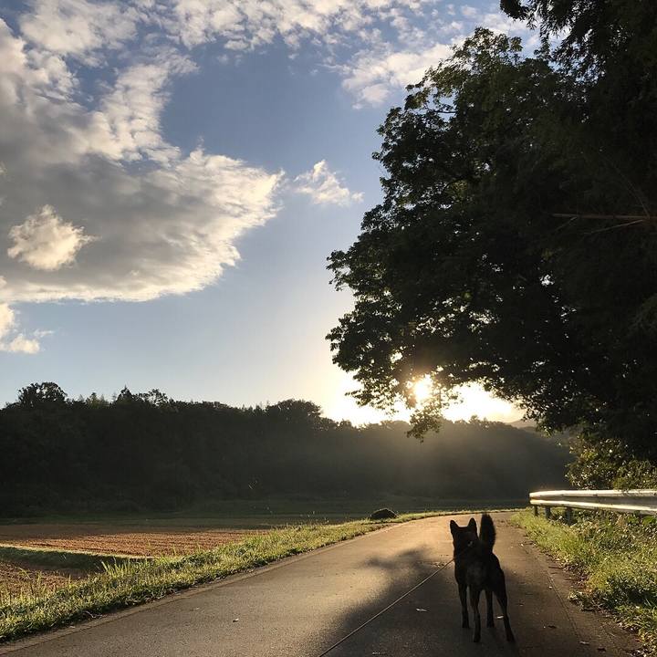 B1bb939a 3ec7 475b b2c6 0fb494e9a98c