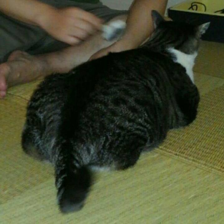 B1bba79f 71b1 4585 9156 63ed856a8ee7