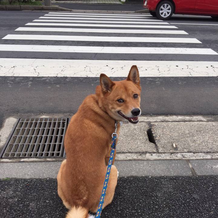 B1bbc33d 85ac 4ea3 8363 f0478045336c