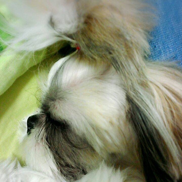 B1bbe718 ab6b 4d5b a643 71e8578d3e13