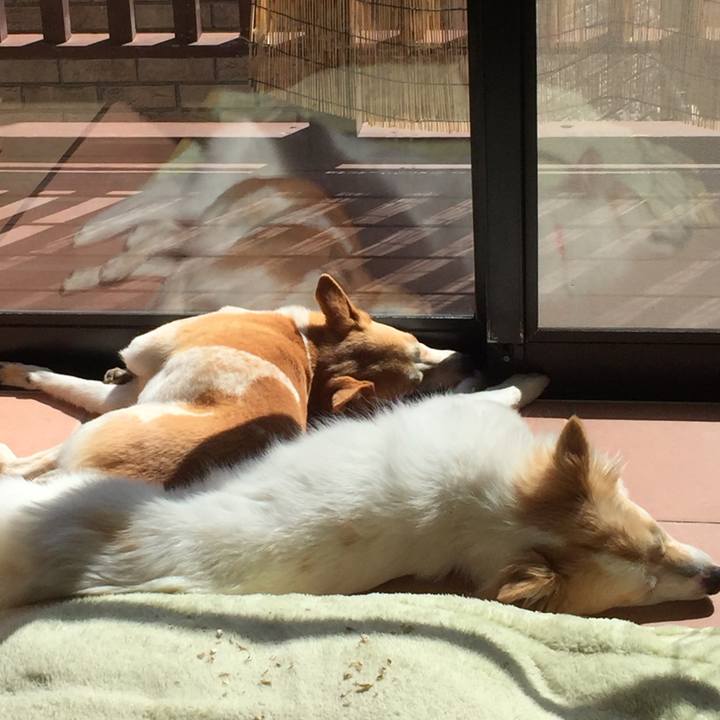 B1bc31f9 4c44 4c5c 9b10 0b4f91327301