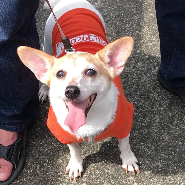 B1be9b6b 264e 43b0 84a3 200d75e6ee4a