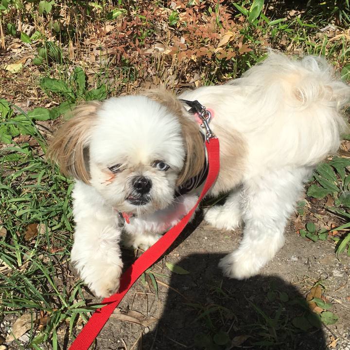 B1be9cf1 ecf9 4b7c b605 d215fd01c6cd