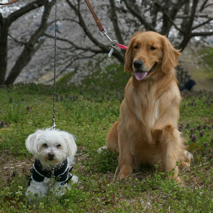 B1bfea2d f674 41d3 9a82 c1883ed61cf4