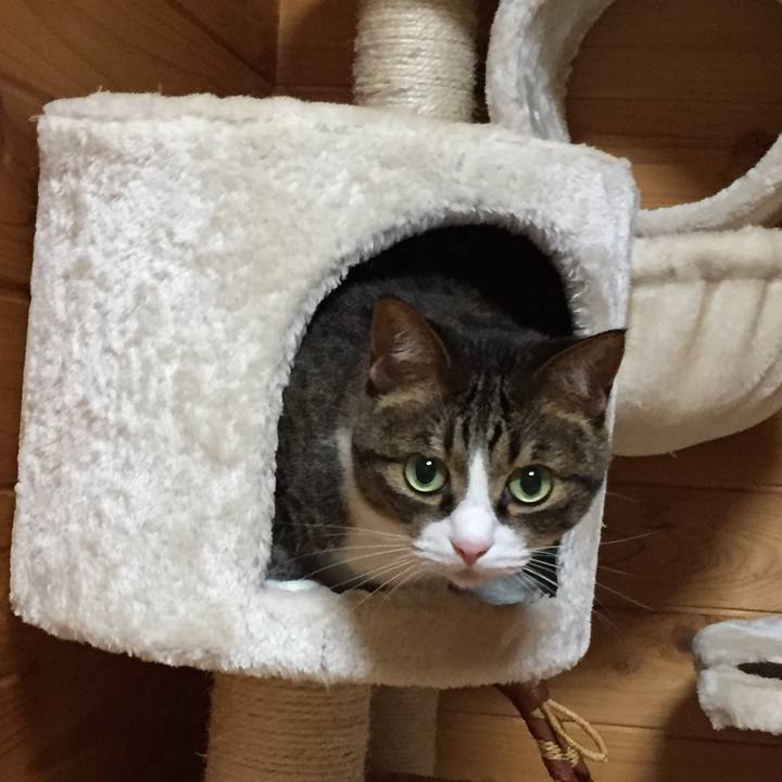 B1c067f8 161c 472e b664 5231e5b04970