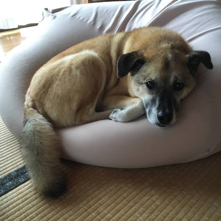 B1c08b8b 70b3 4e61 998c f98d7ca8d561