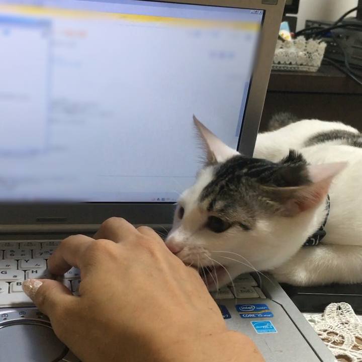 B1c0b7dc 4e22 470a 8f66 46afebc694cb