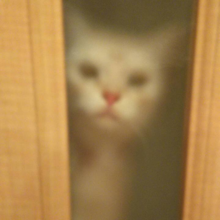 B1c10493 a4da 4cfa 907a 4785d759efcc