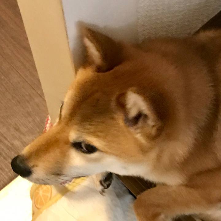 B1c1103f 97ab 4333 b6fc 34eccb004cf2