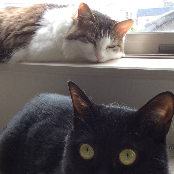 B1c18c22 8aad 4029 9a8a 7e8c7044f837