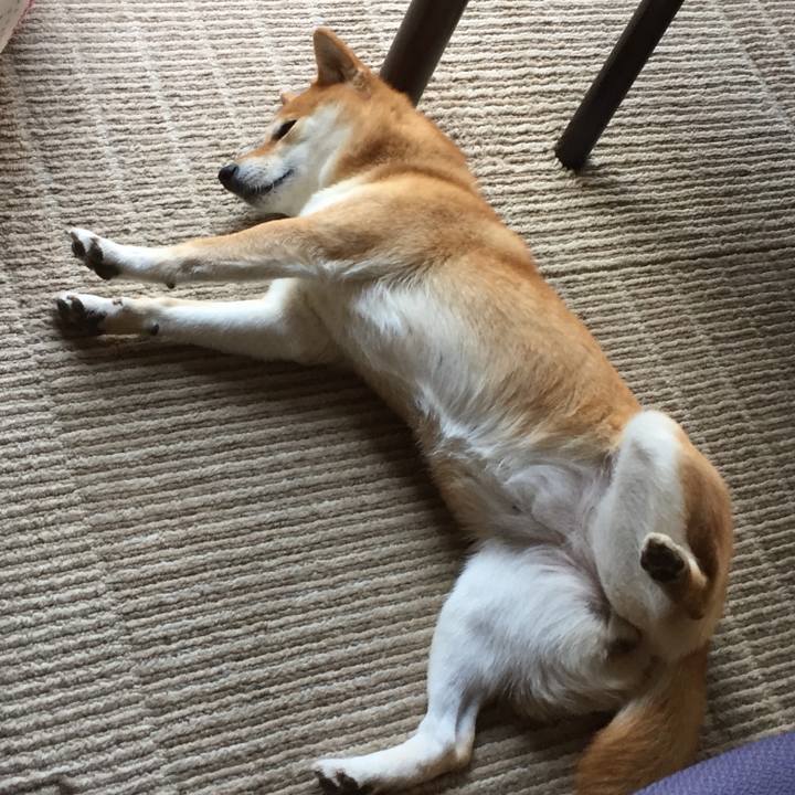 B1c22147 6a79 4709 8e6b 09263541d96c