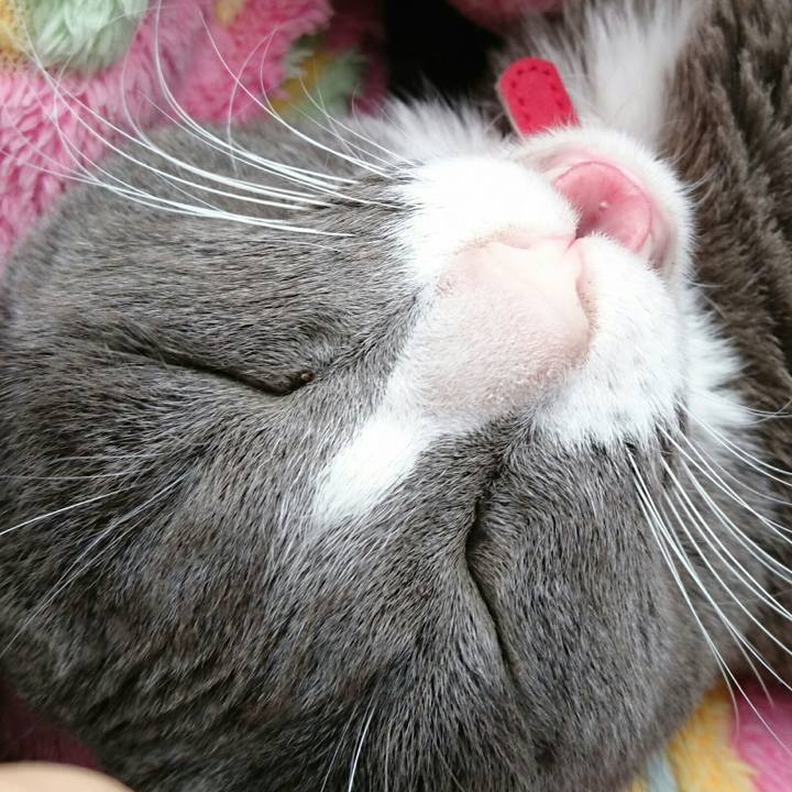 B1c239f9 4282 48ae 87c5 d72b8e860a6c