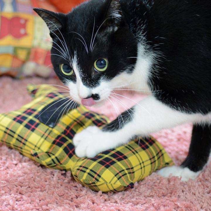 B1c26f67 7431 4e1e aa9b 5453705b3747