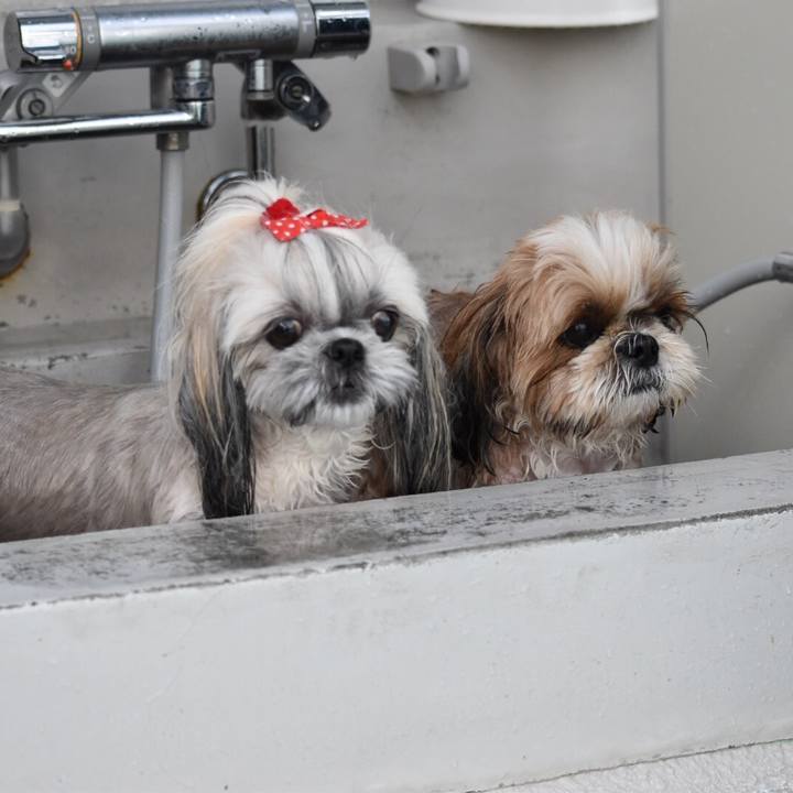 B1c34269 742e 4e6e 9d96 e13f85fa2470