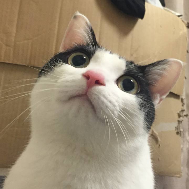 B1c3953d 58b4 4ba6 86f8 7e95116679a6