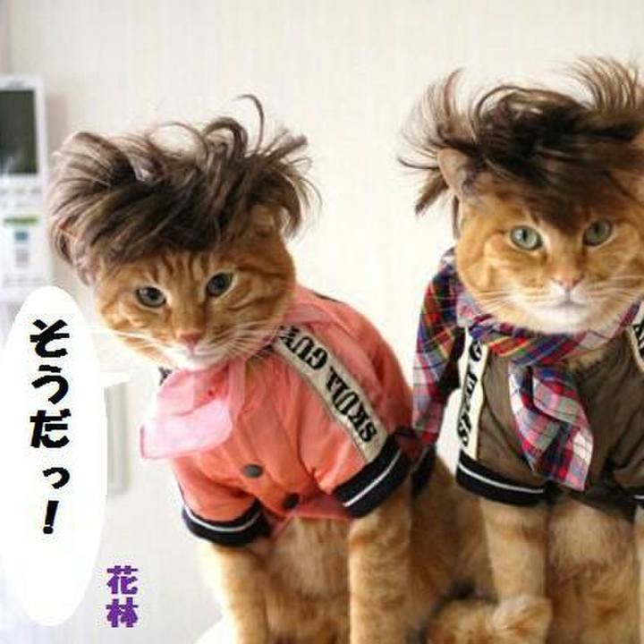 B1c396fc 77d8 4228 aa81 7ab418c7540a