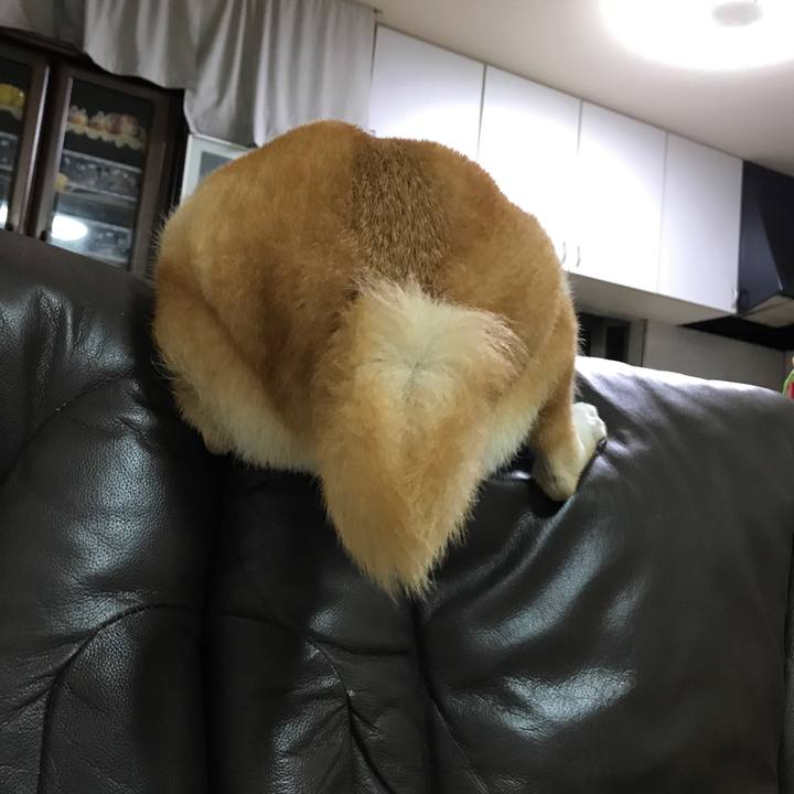 B1c3b47c 5c66 4fca b471 4f96ba8c3da6