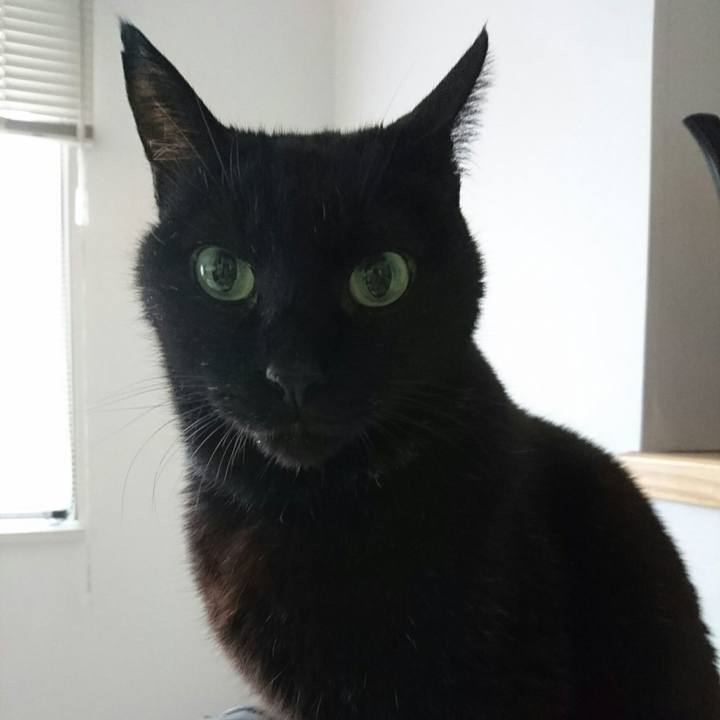 B1c3bc79 5c7a 448b 94c3 8105064c376c