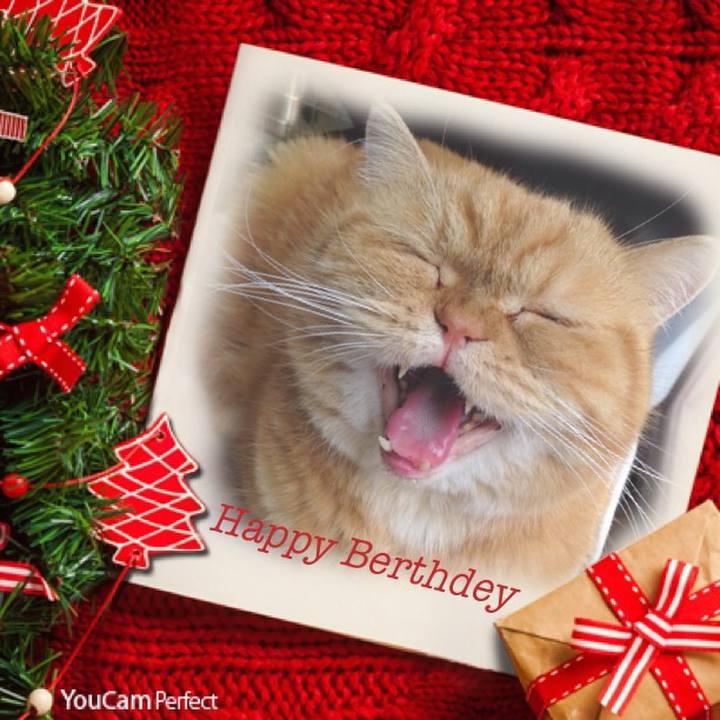 B1c46184 1797 4799 b00f 91c30f68d4a0