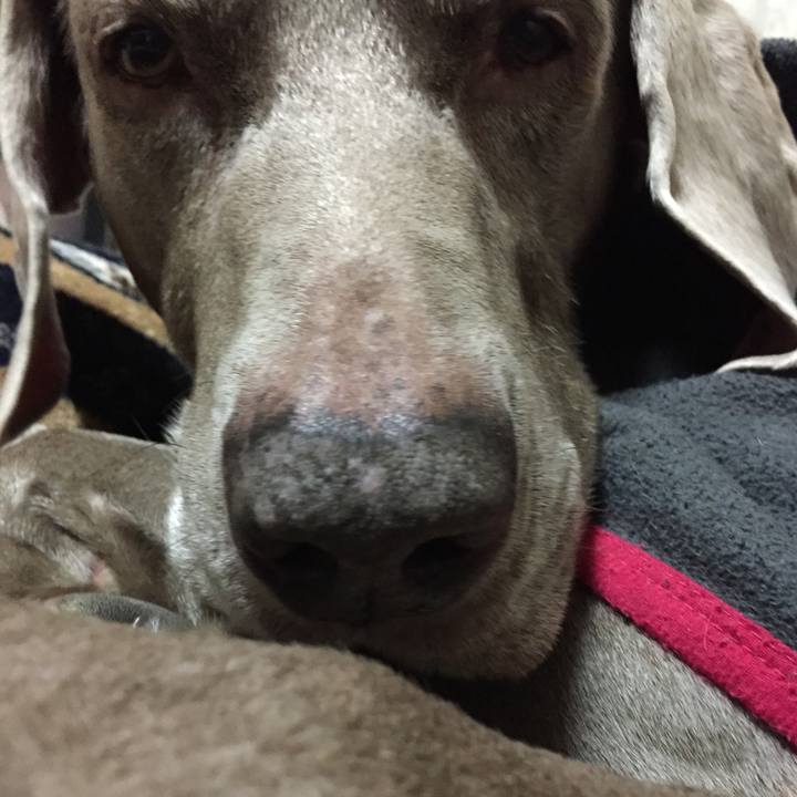 B1c491b8 1331 440d 8cbb 29a574eb1749