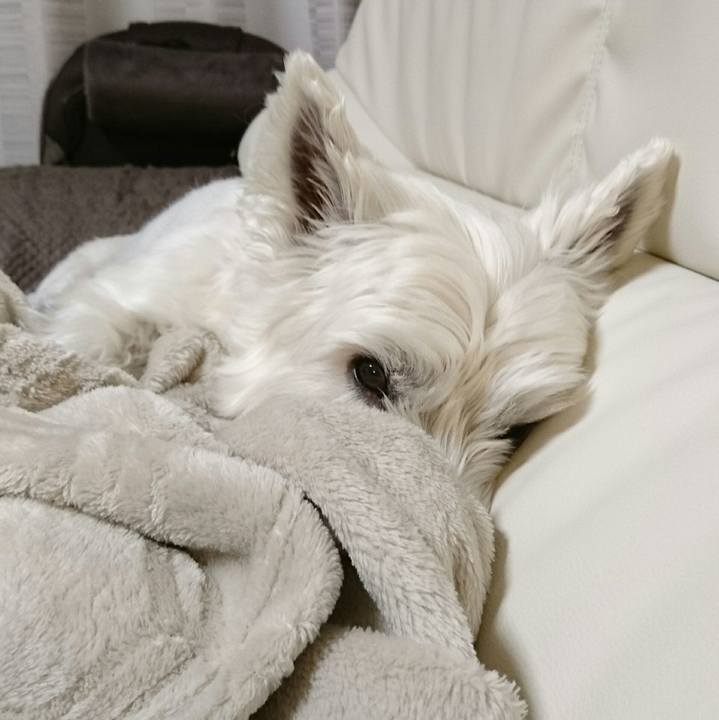 B1c51e58 0ca1 47c5 8399 dafa8d443013